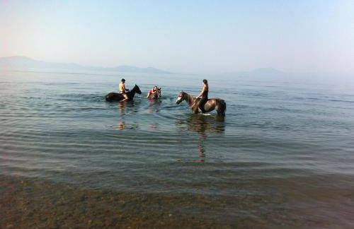 Vergonis Studios - Photo 51