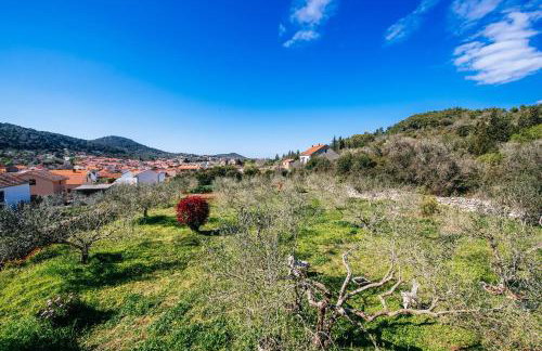 Roko Opaćac Veli IŽ,otok Iž - Foto 13