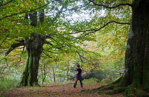 Casa Rural Zigako Etxezuria - Foto 43