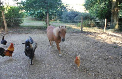 Gîte 5 personnes au calme avec jardin, piscine, proche d'Amboise - Foto 21