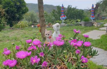 Ca' Olivella - Foto 23