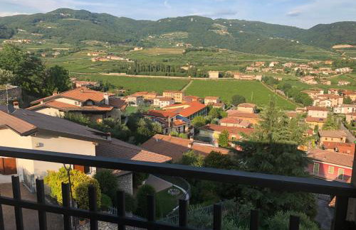 La Terrazza di Beppe - Foto 9