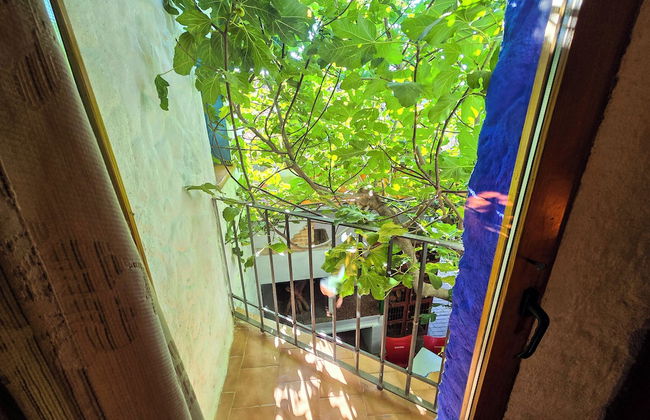 Casas rurales la Tejeruela - Foto 61