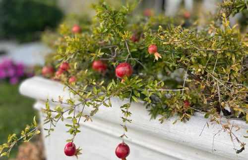 CHALET VELA Natura e Relax - Foto 58