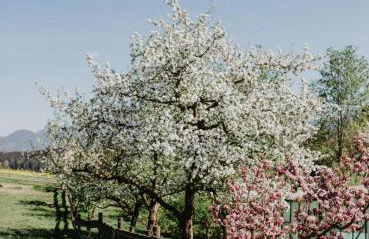 4 Sterne Ferienwohnung Hochries - Foto 31