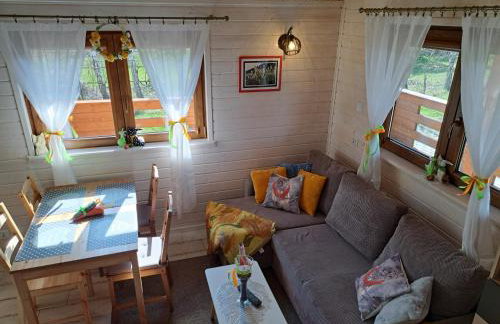 Domki Borowiackie nad brzegiem jeziora - Foto 42