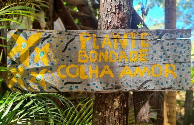 Pousada Pouso das Araras - Foto 77