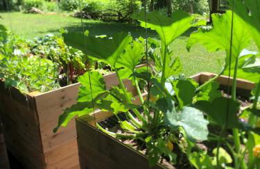 Natur- & Aktivoase - Photo 10