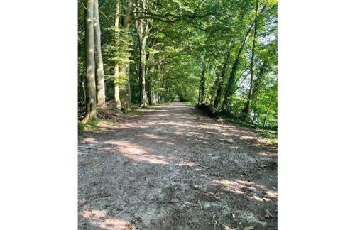 One-bedroom apartment - Photo 29