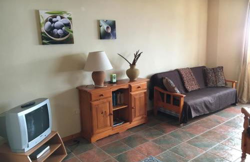 Finca AliBaba - Foto 49