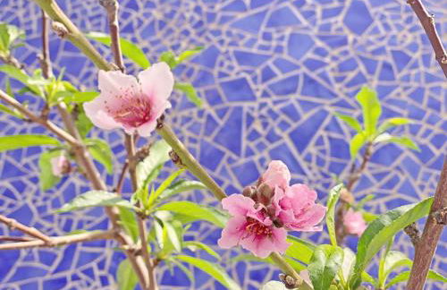 Holiday Home Villa Castillo Moro by Interhome - Foto 14