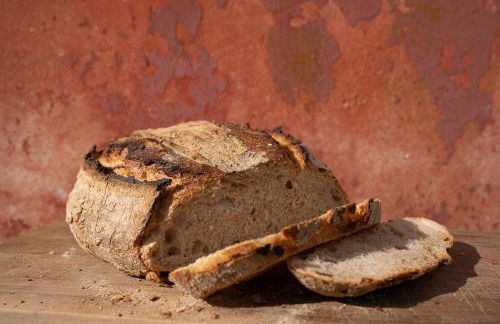 Boutique Bio Agriturismo Casale San Cristoforo - Photo 22