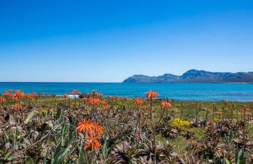 Ran de Mar - Foto 30