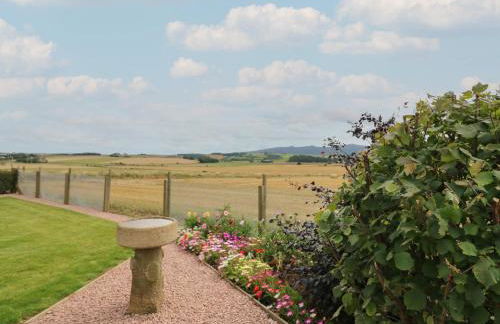 Garden Studio - Foto 19