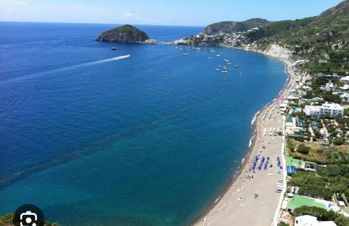 Il Pino “Villa Nunzia” - Foto 6