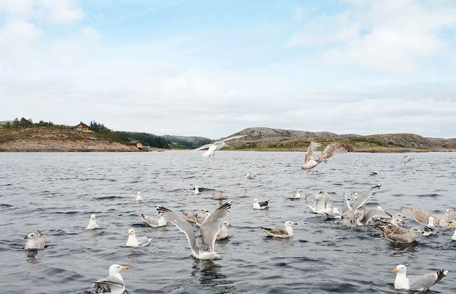 Holiday Home in Rørvik - Photo 18