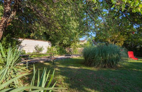 New brend app Matija - Foto 21