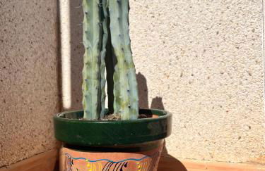 Private Solarium - Golf and Pool View - Las Ramblas 830 - Foto 20