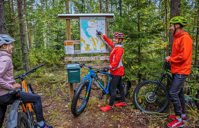 1 bedroom House in Sysmä - Photo 33