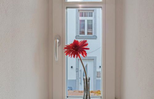 Villa Arena - Foto 21