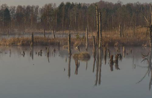 63qm im Eschachtal - Foto 5