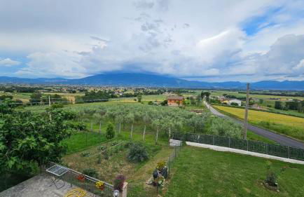 Delizioso appartamento collinare - Photo 11