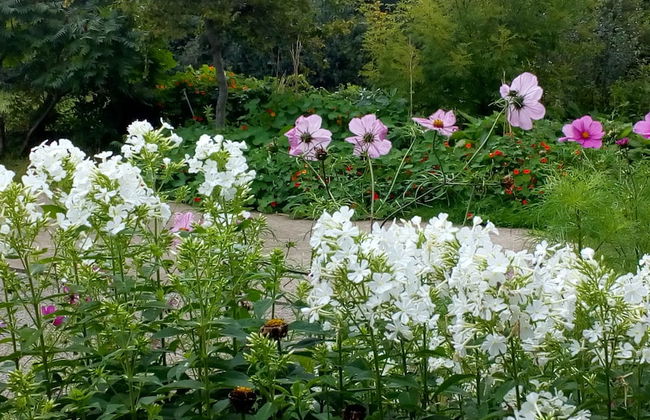 Lisieux House on Lough Neagh - Foto 21