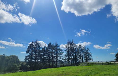Le Refuge de la Doucette - Foto 40