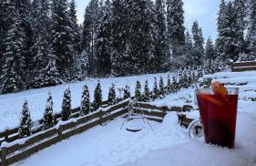 Dom na Zielonym Wzgórzu z własną Sauną i Jacuzzi - Foto 17