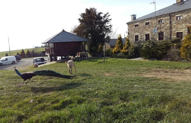 Casa Rural O Ventorrillo - Foto 44