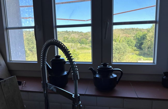 Herdade do Vidigal - Foto 23