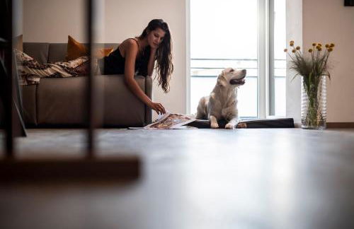 Sambucus Apartments -Premium Apartments for You and Your Dog - Photo 26