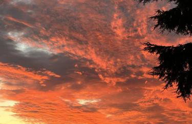 Family Experiences - Fishing Archery Unit C - Foto 9