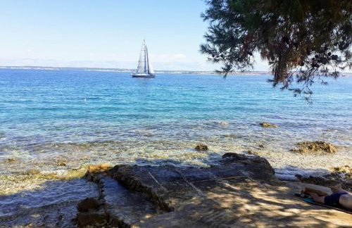 Apartment Brane - Photo 12