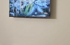 Le paisible - Foto 12