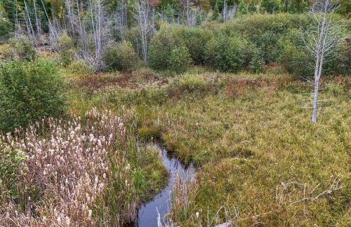 Family Home in Rapid City about 4 Mi to Torch Lake! - Foto 21