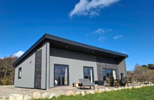 Red Squirrel - Photo 1