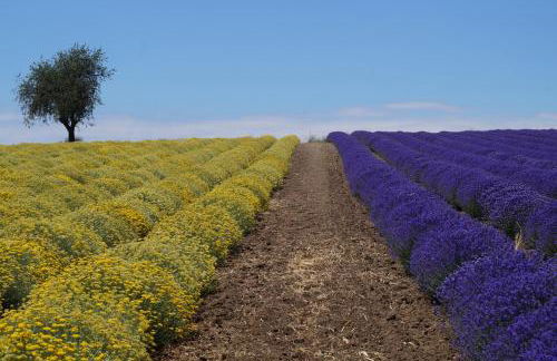 Infinite Blue, Horizon, Elegance, Hospitality - Photo 7