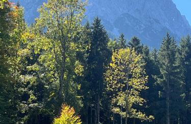 Fewo Maria Grasegger - Photo 3