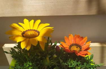 La casa dei nonni - Foto 30