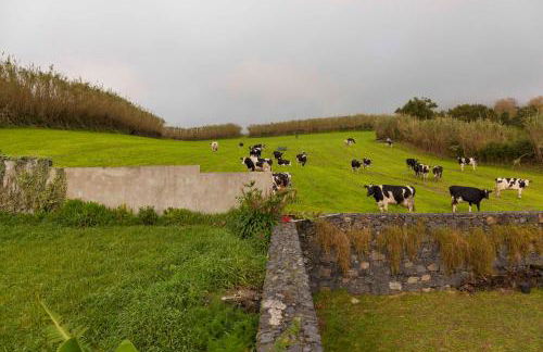 Candelária House - Photo 78