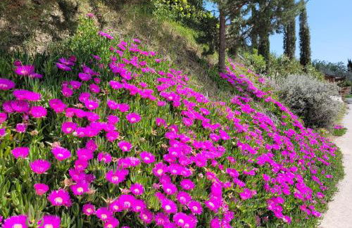 Agriturismo Fiorano - Foto 13