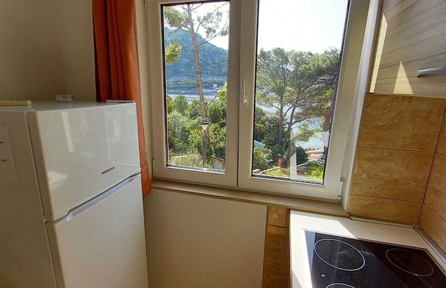 Apartments Vinko Mljet- One-bedroom Apartment With Terrace - Foto 3