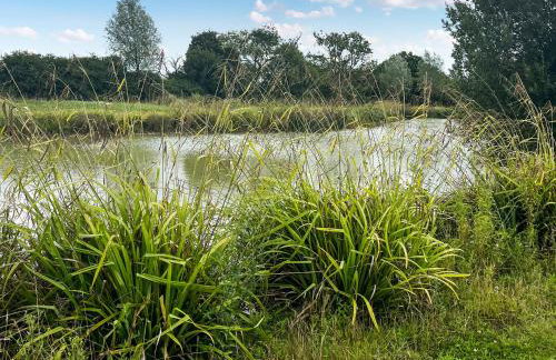 Willow Cottage - Foto 13