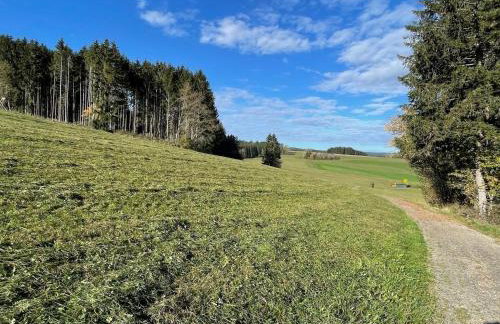 GreenHolidays - Foto 36