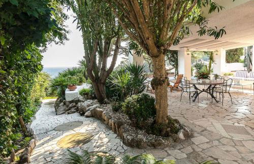 La Bougainville - Foto 40