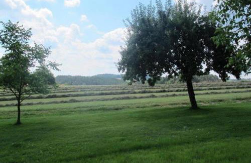 Ferienhaus in Tannesberg for 4 Personen - Foto 57
