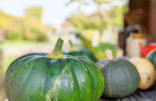 The Quail Cabin - Foto 22