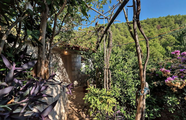 Apartments Robinzon Milivoj - Foto 46