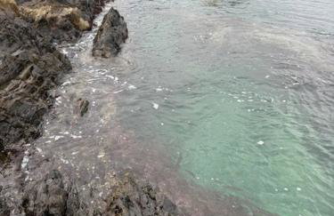 Entre Terre et Mer - Foto 37